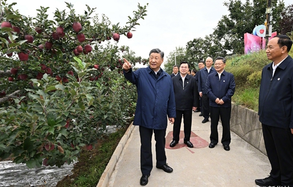習近平：鄉村振興要靠產業，各地要各展其長
